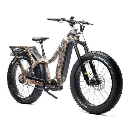 All Terrain Electric Bikes